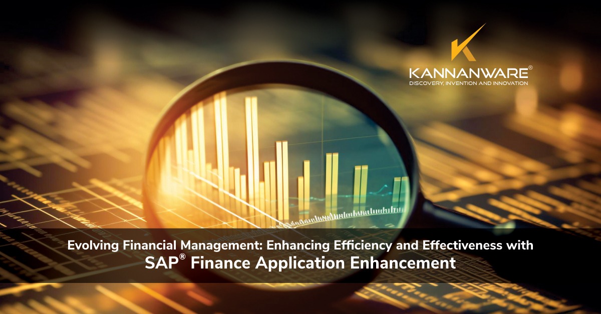 Evolving Financial Management: Enhancing Efficiency and Effectiveness with SAP® Finance Application Enhancement